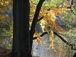 zum Vergr&ouml;&szlig;ern bitte anklicken