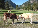 zum Vergr&ouml;&szlig;ern bitte anklicken