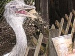 zum Vergr&ouml;&szlig;ern bitte anklicken