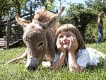 zum Vergr&ouml;&szlig;ern bitte anklicken