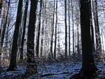 zum Vergr&ouml;&szlig;ern bitte anklicken